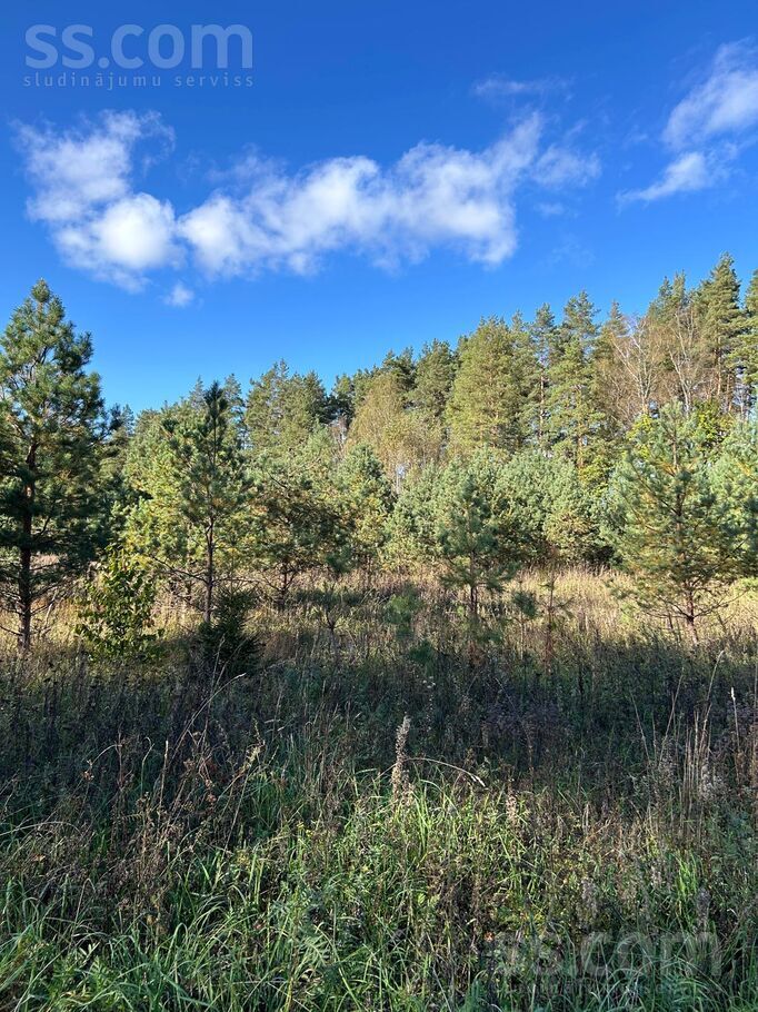 Bez, Gauja, Rīgas rajons, Inčukalna nov. — zeme