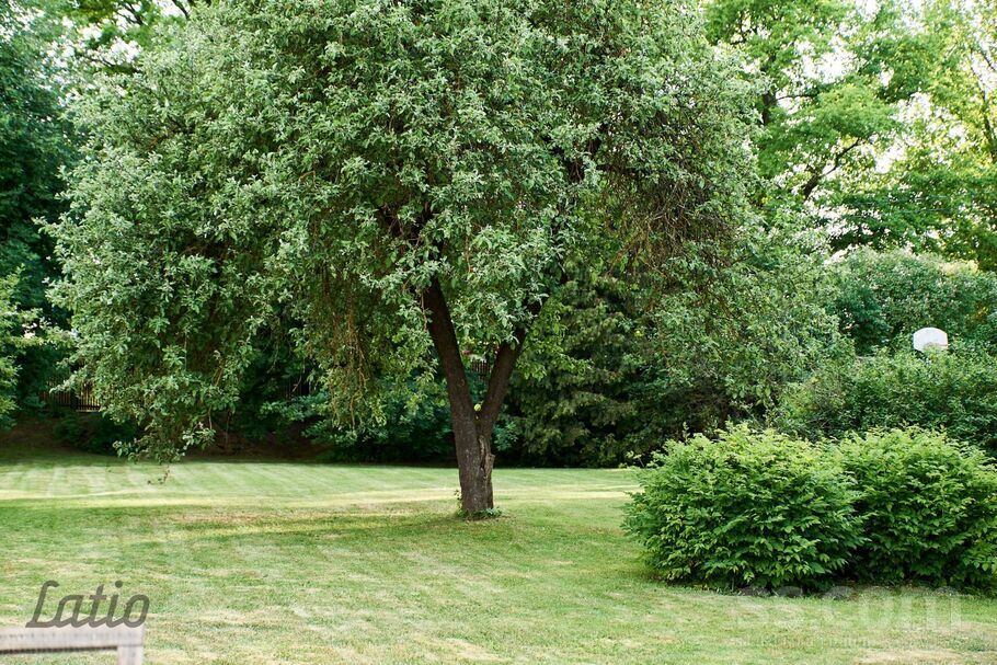 Rucavas, Rīga — zeme