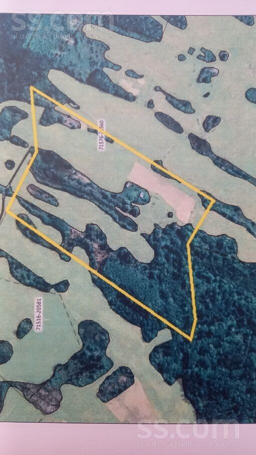 Ļutas 1, Loņki, Krāslava un raj., Skaistas pag. — zeme