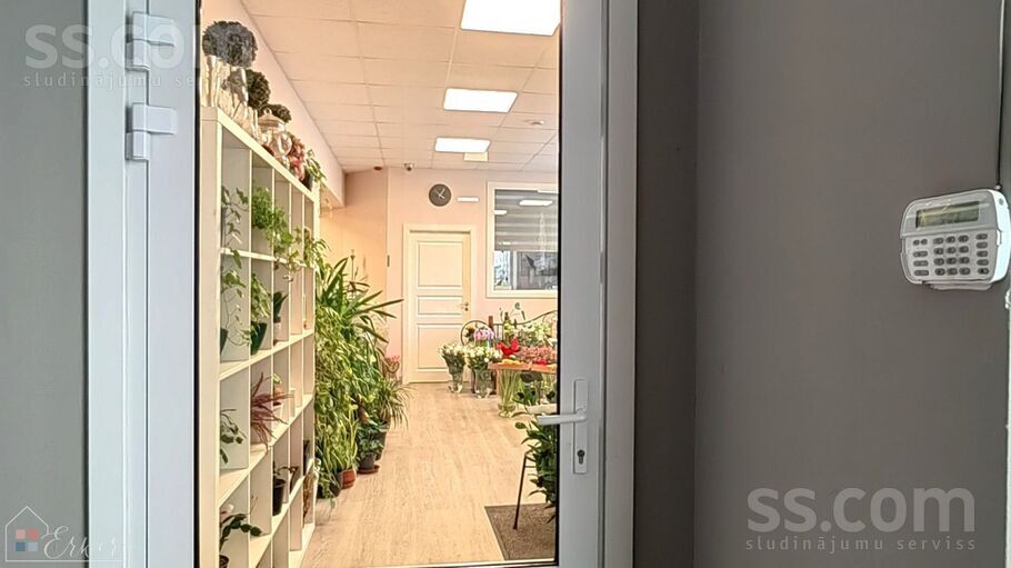 Bauskas 33, Rīga, Torņakalns — telpa