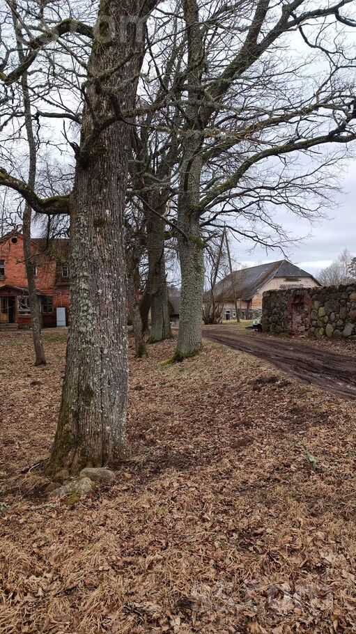 Drevēkas, Valmiera un raj., Kocēnu pag. — maja