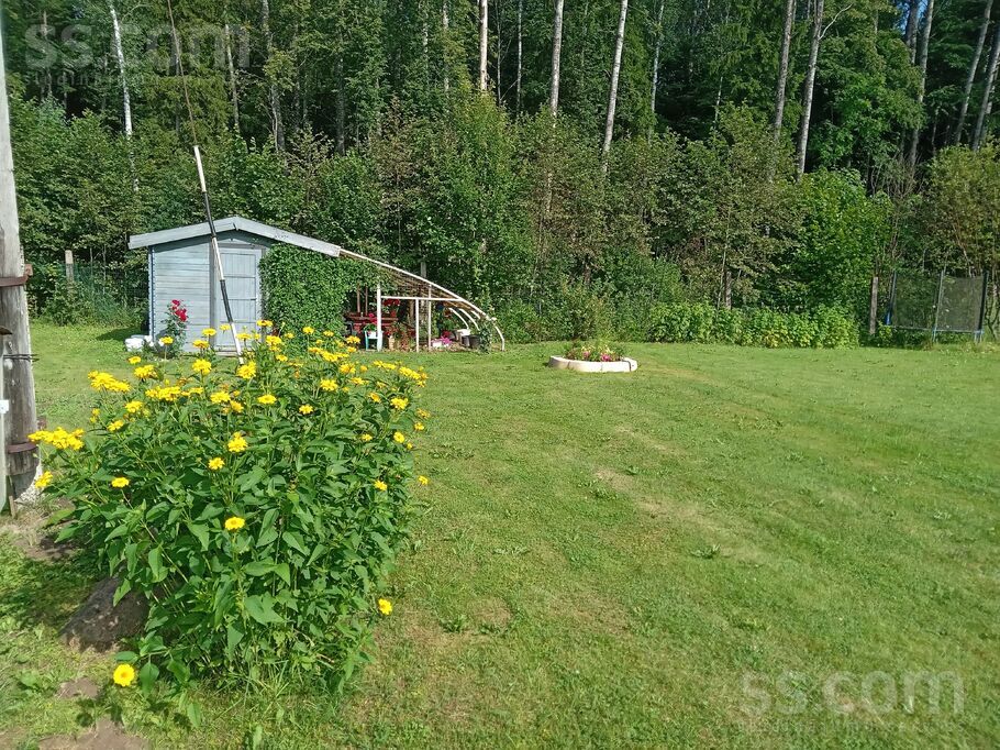 Mezvidi 47, Ogre un raj., Ogre — maja