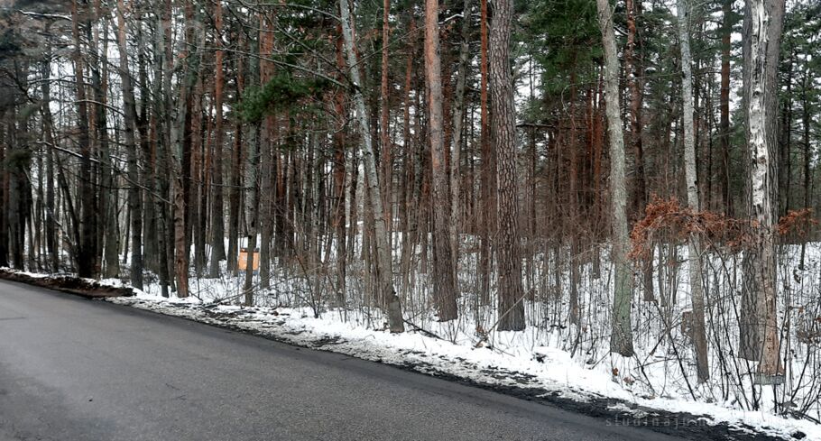 Dzintara, Rīga — zeme