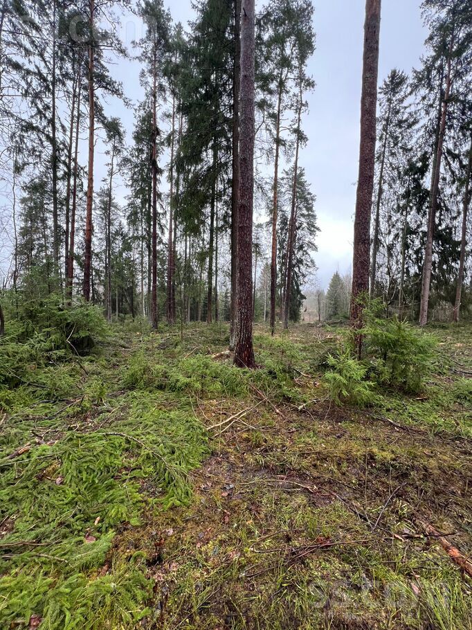 Zvaigžņu 18, Inčukalns, Rīgas rajons, Inčukalna nov. — zeme