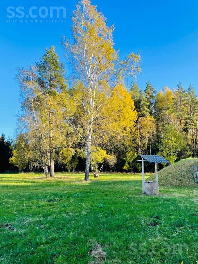 Eglītes, Pēternieki, Rīgas rajons, Olaines pag. — zeme