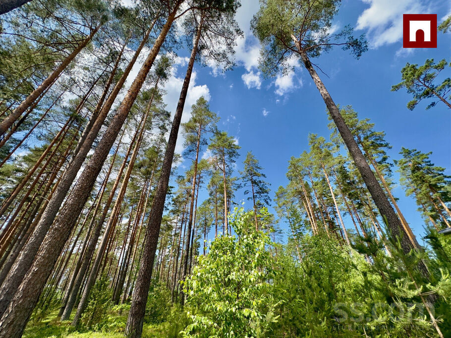 Anetes 1, Baltezers, Ādažu nov. — zeme