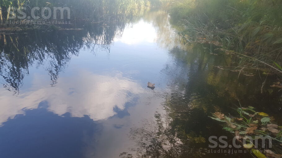 Irlava, Tukums un raj., Irlavas pag. — mezs