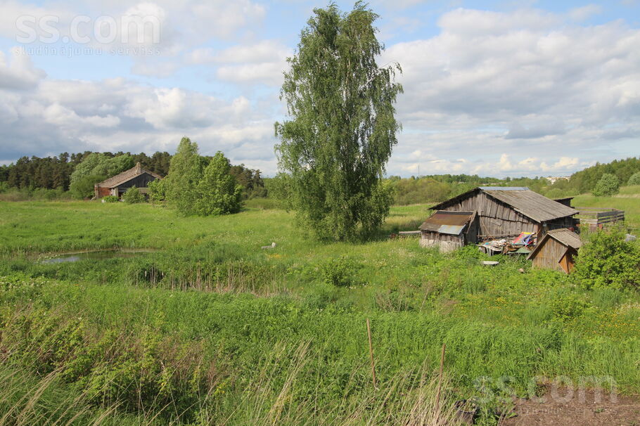 Jūlijas, Ozoliņi, Krāslava un raj., Dagdas pag. — maja
