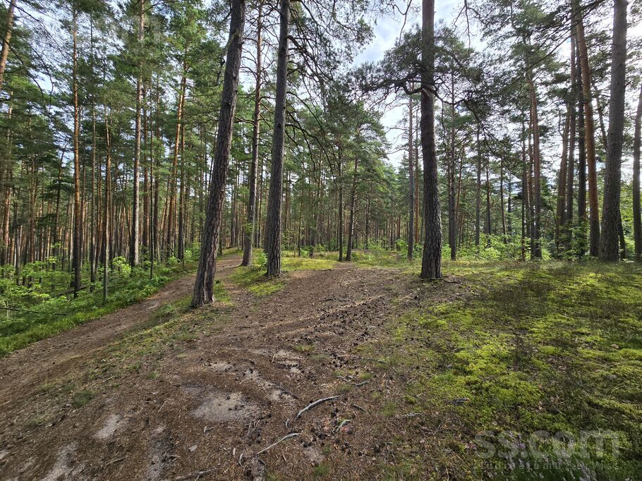 Beberbeķu, Rīga — zeme