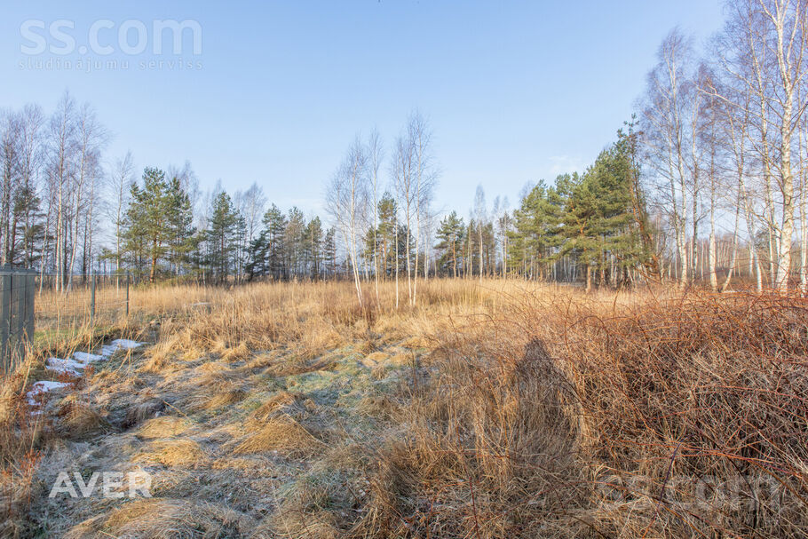 Mīļkalniņi 1, Ragaciems, Tukums un raj. — zeme