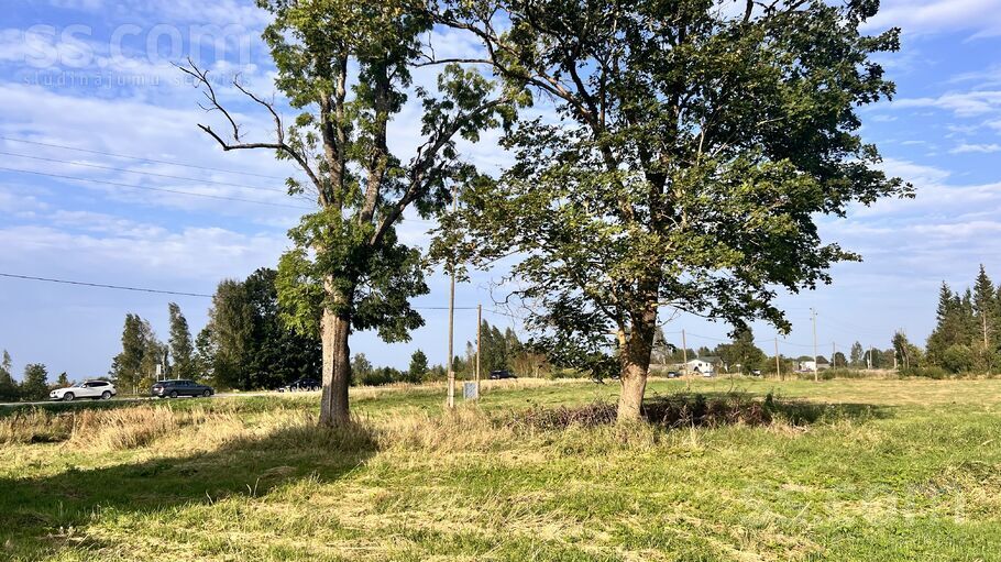 Baltegles, Trenči, Rīgas rajons, Babītes pag. — maja