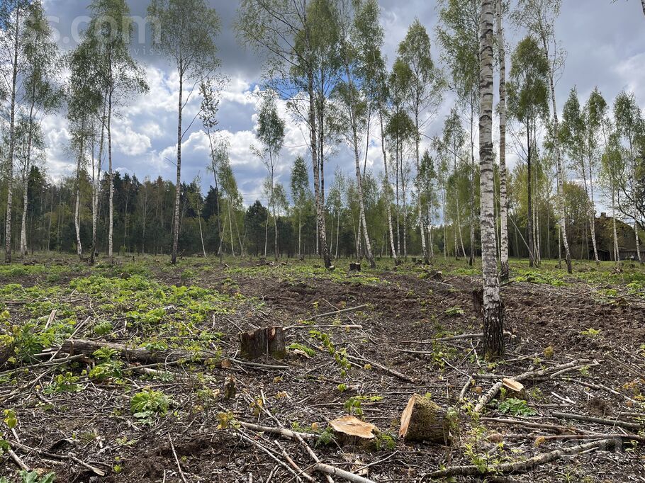Jaunrempi, Saulkalne, Rīgas rajons, Salaspils l. t. — zeme