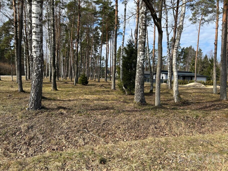 Sedolu iela 1, Jaunmārupe, Rīgas rajons, Mārupes pag. — zeme