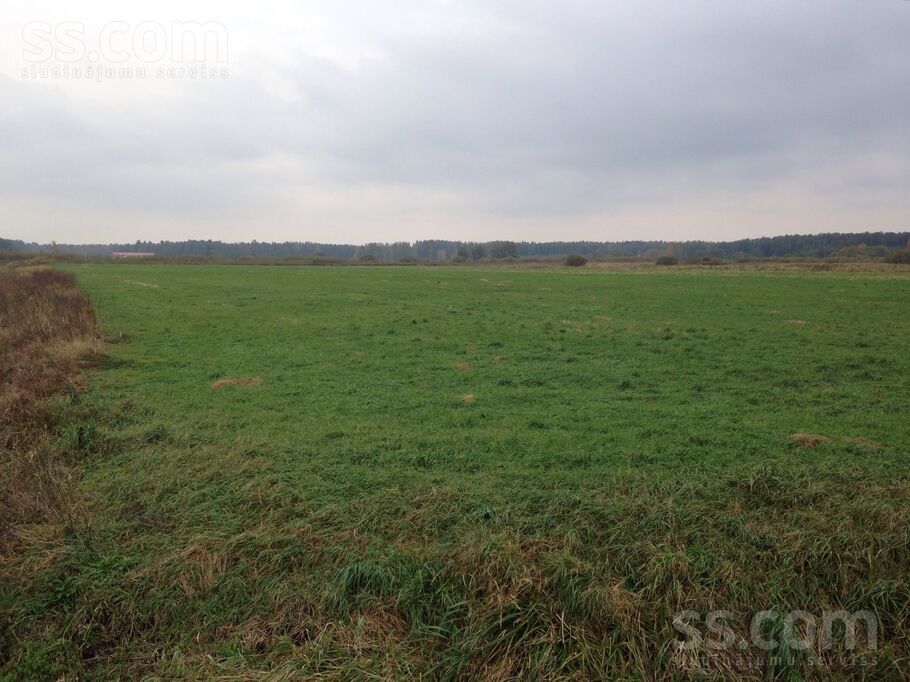 Jaunzālīši, Eimuri, Rīgas rajons, Ādažu nov. — zeme