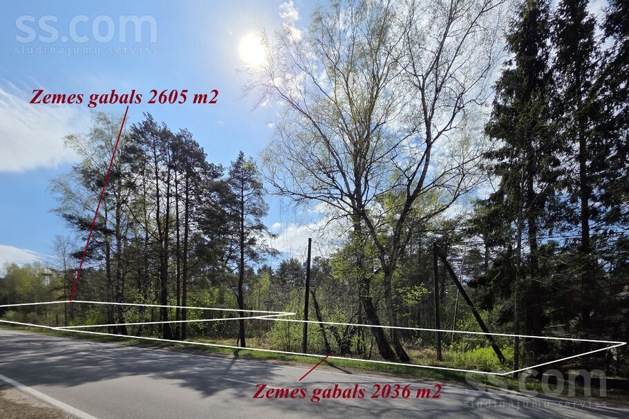 Divas gabalas, Lapmežciems, Tukums un raj. — zeme