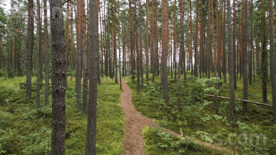 Kadagas ceļš 17, Kadaga, Rīgas rajons, Ādažu nov. — zeme