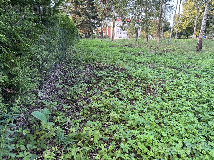 Dienvidu iela 12, Rīgas rajons, Salaspils — zeme
