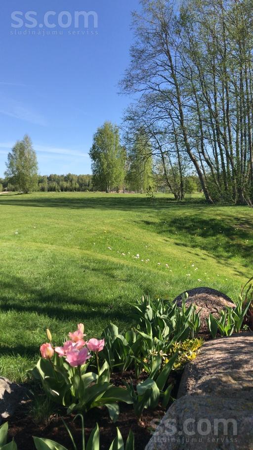 Kalnezera iela, Tīnūži, Ogre un raj., Ikšķiles l. t. — zeme