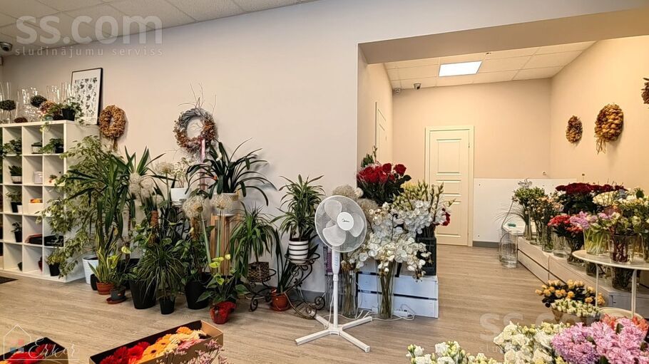 Bauskas 33, Rīga, Torņakalns — telpa