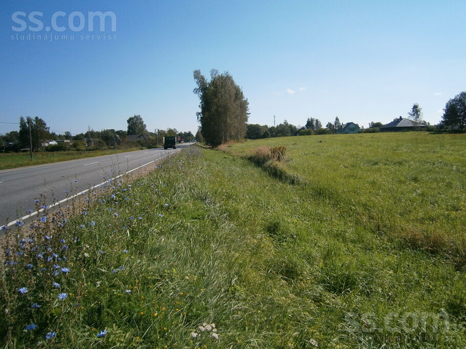 Zelmeņi, Daugmale, Rīgas rajons, Daugmales pag. — zeme