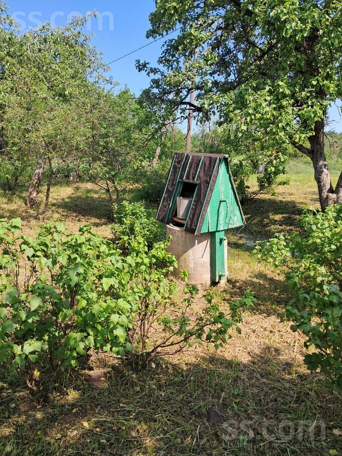 Kriviniški, Daugavpils un raj., Medumu pag. — vienseta