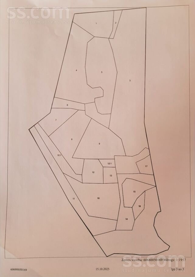 Dorotpole, Krāslava un raj., Kalniešu pag. — mezs