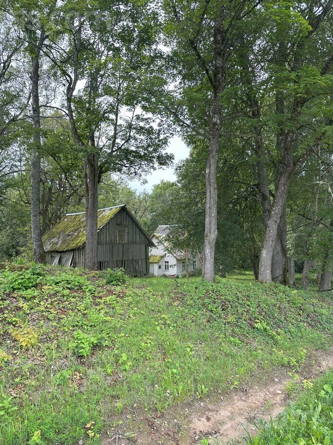 Kociņi, Jaunlaicene, Alūksne un raj., Jaunlaicenes pag. — maja