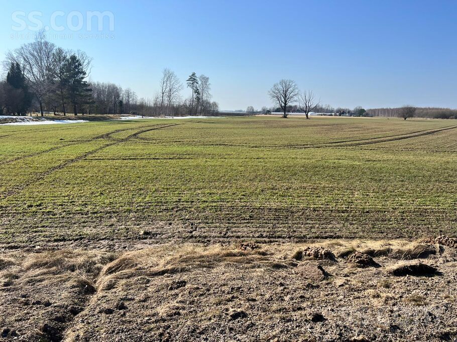 Pīkas; Audrupi, Iecava, Bauska un raj., Iecavas nov. — zeme