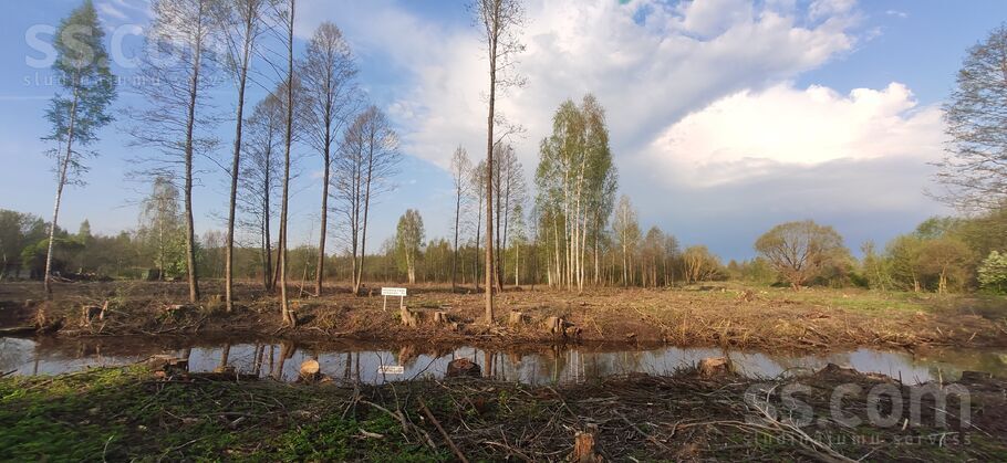 Mūkupurva 12, Rīga — zeme