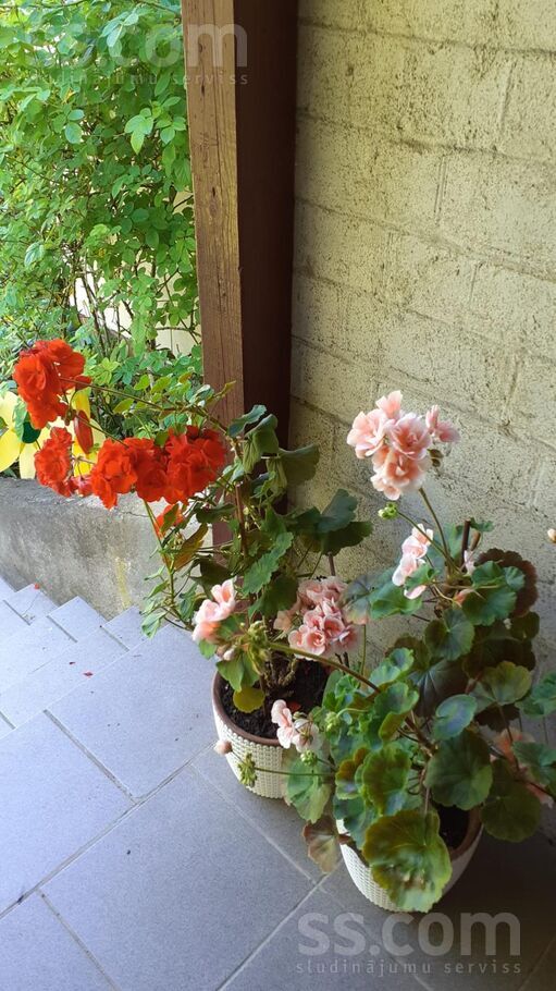 Krasta, Ogre un raj., Ogre — maja