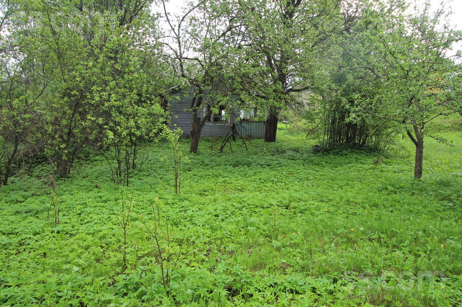 Atpūta Griškāni 59, Dreizi, Rēzekne un raj., Griškānu pag. — maja