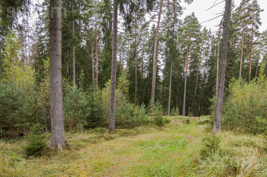 Vārpas iela 10, Ogre un raj., Ogre — zeme