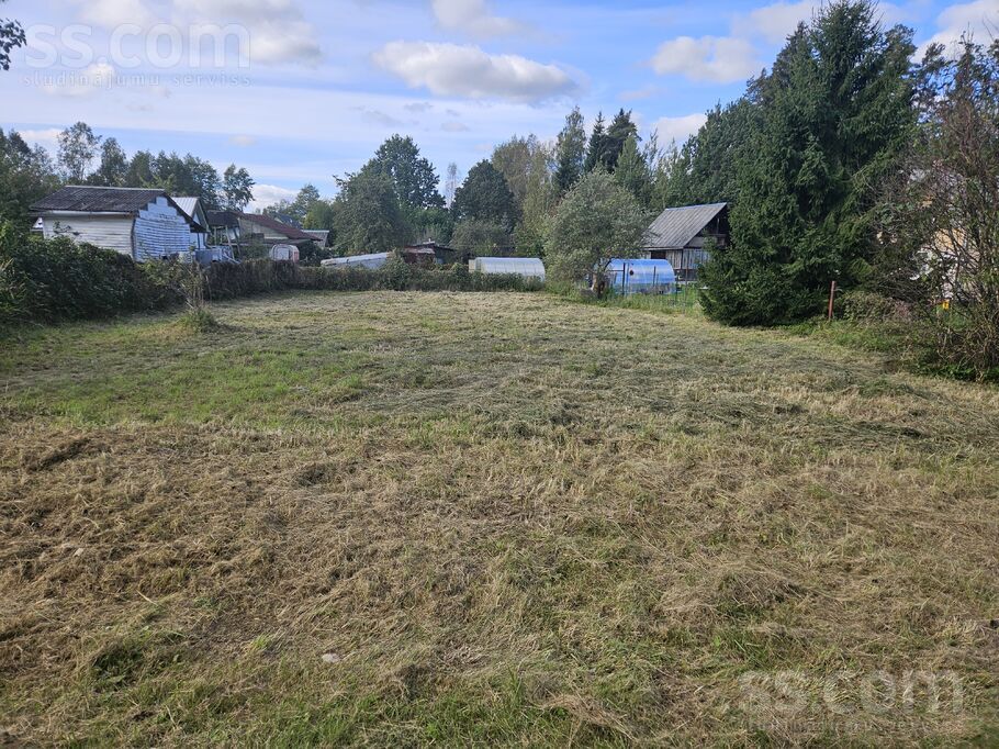 D/s Lazdas 2565, Jāņupe, Rīgas rajons, Olaines pag. — zeme