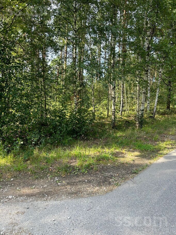 Paparžu iela 8, Bukulti, Rīgas rajons, Garkalnes nov. — zeme