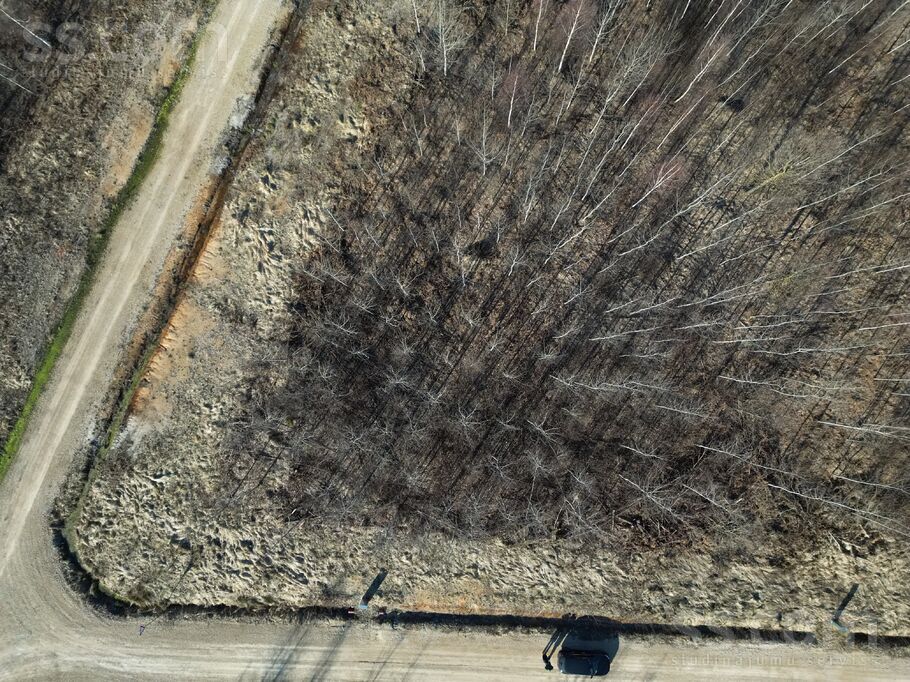 Zvirbuļu iela 12, Rīgas rajons, Salaspils — zeme