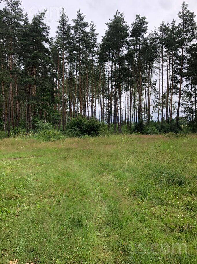 Amatu iela, Krogsils, Rīgas rajons, Ķekavas pag. — zeme