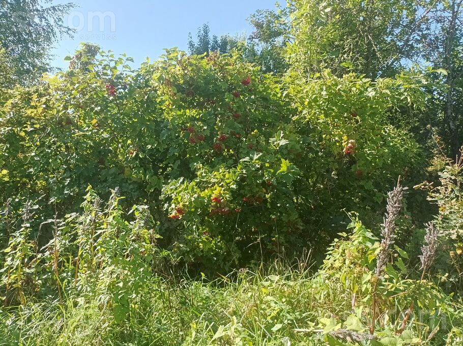 Ludza un raj., Kārsava — vienseta