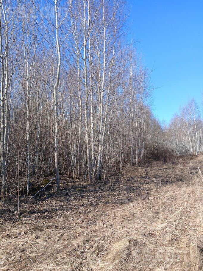 Stūri, Saldus un raj., Blīdenes pag. — mezs