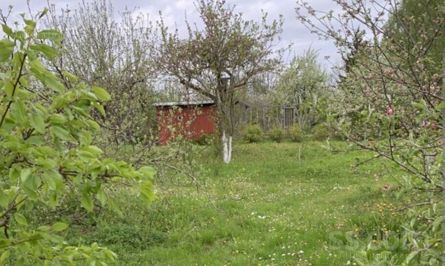Pokaiņi 402, Parūķis, Dobele un raj., Krimūnu pag. — zeme