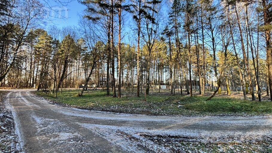 Priežu iela 11, Ciemupe, Ogre un raj., Ogresgala pag. — zeme