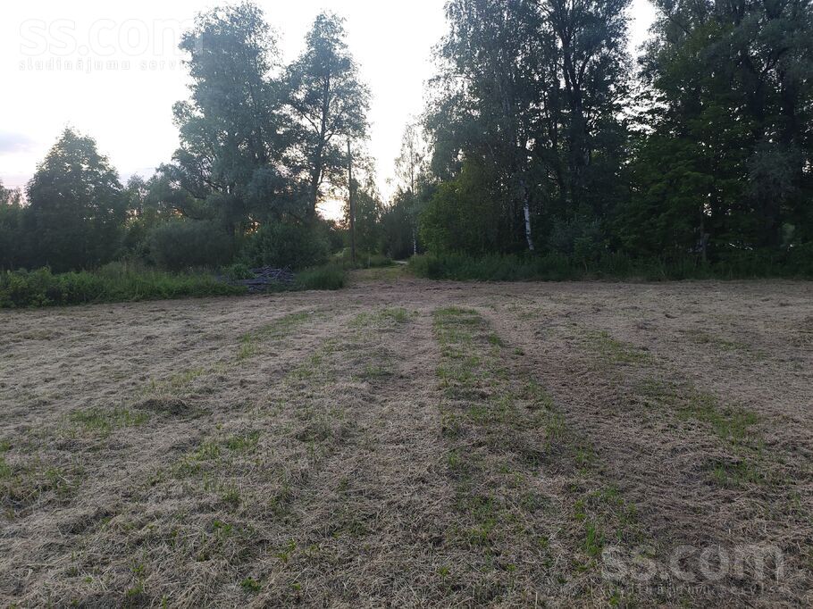 Stacijas iela, Vecumnieki, Bauska un raj., Vecumnieku pag. — zeme