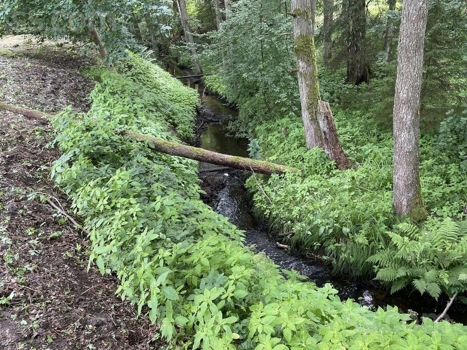 Roja, Roja, Talsi un raj., Rojas pag. — maja