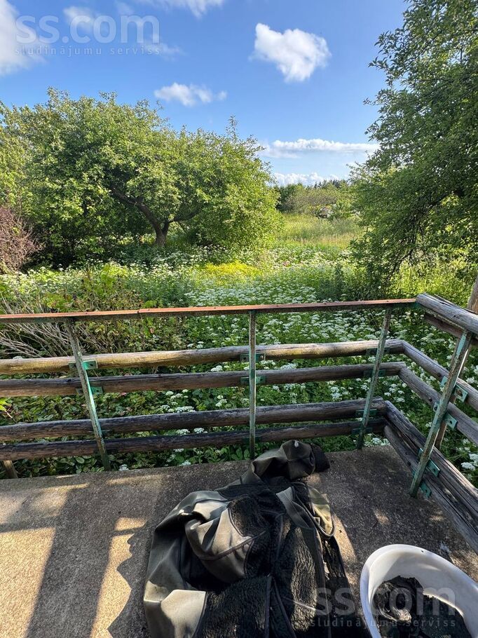 Ābeļziedi, Zūras, Ventspils un raj., Vārves pag. — maja