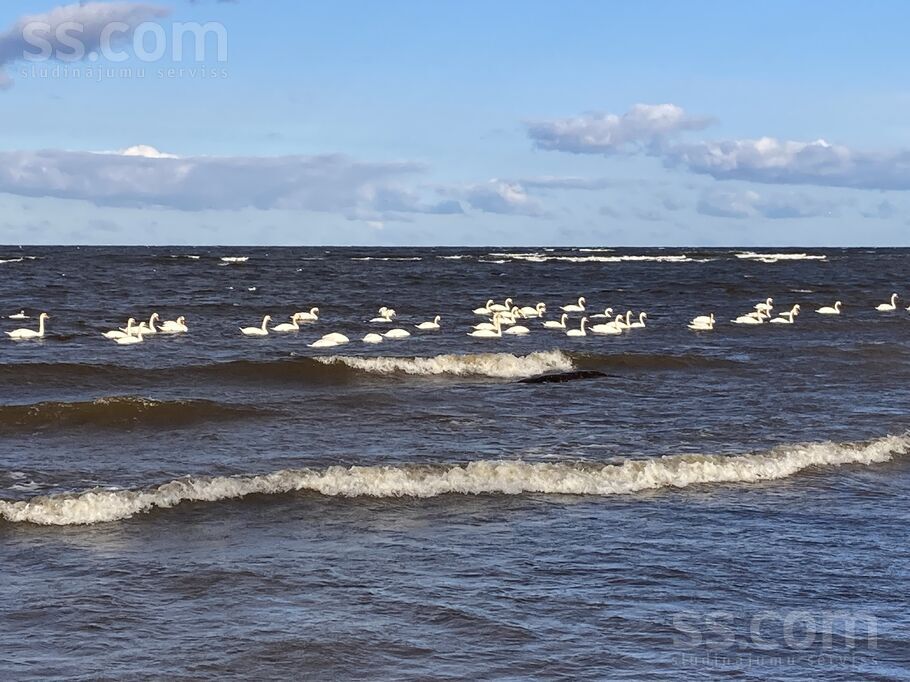Mākoņu iela 5, Zvejniekciems, Rīgas rajons, Saulkrastu l. t. — zeme