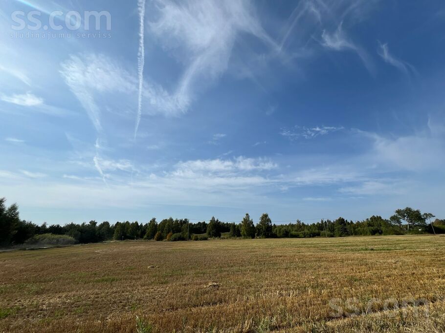 Driādes, Liepāja un raj., Nīcas pag. — zeme