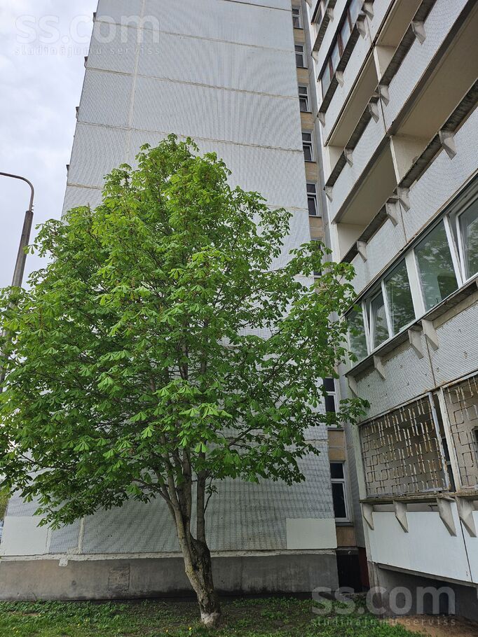Dzeņu 14, Rīga — dzivoklis