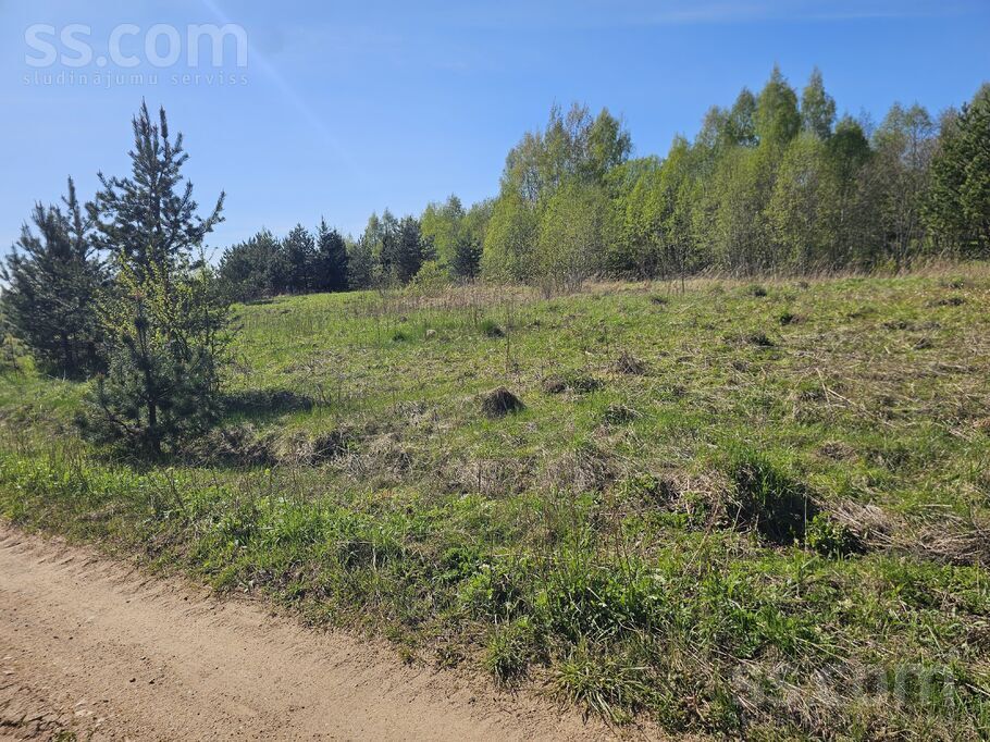 Ūzuliški, Rēzekne un raj., Lūznavas pag. — vienseta