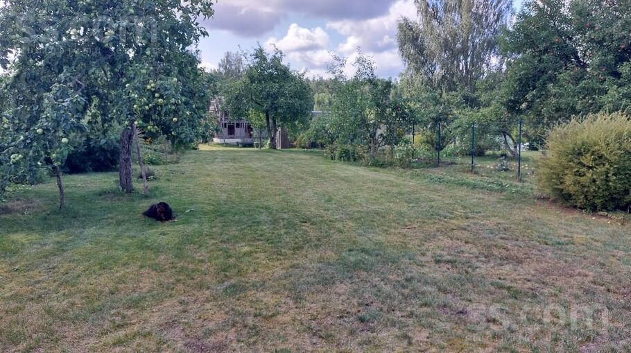 Veselība 124, Laši, Jēkabpils un raj., Ābeļu pag. — maja