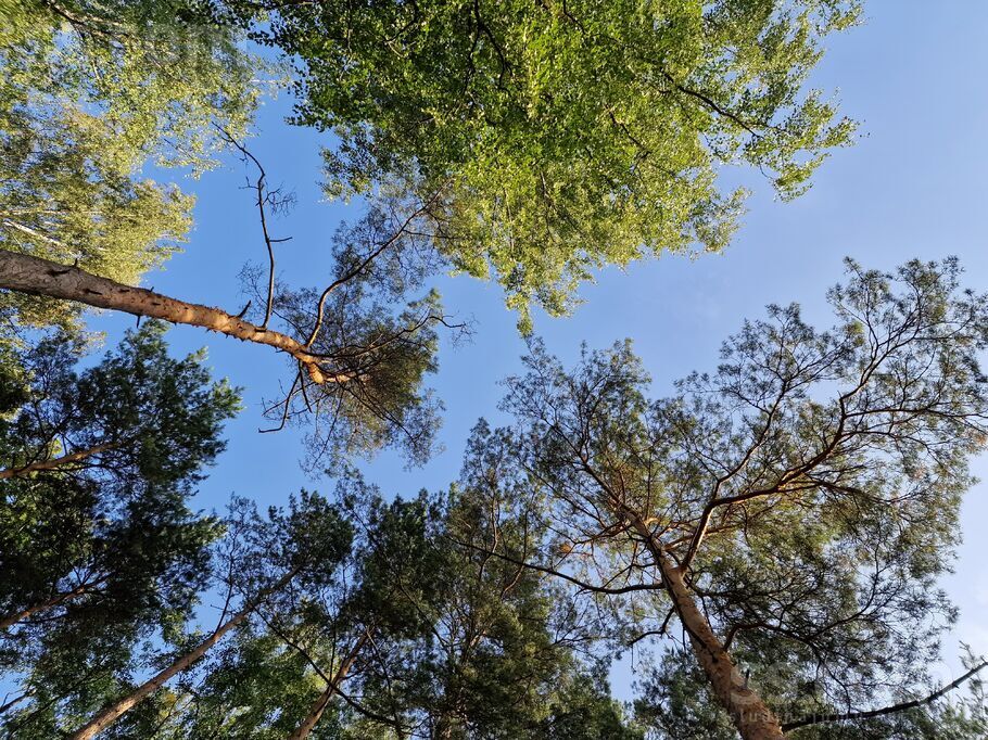 Jaunciema 2. l. 24a, Rīga — zeme