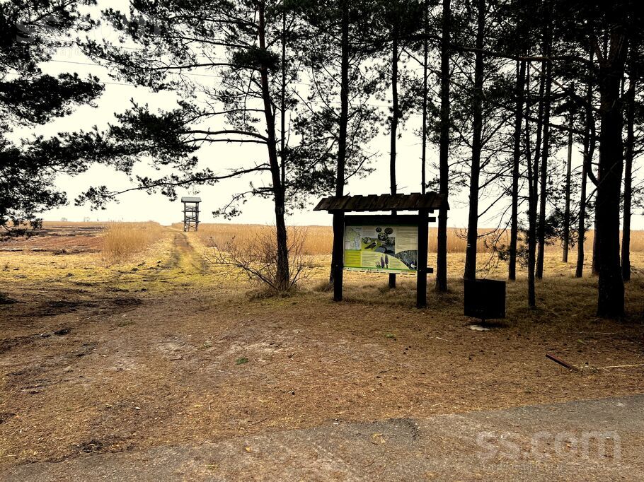 Priežu 26, Mērsrags, Talsi un raj., Mērsraga pag. — zeme